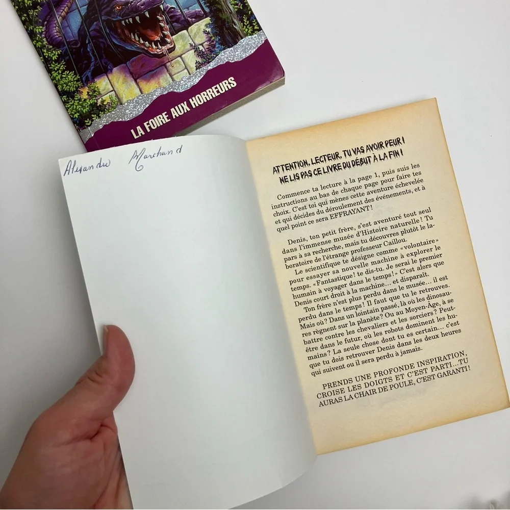 Vintage Chair de Poule Extra 1 & 2 Stine 1996 Héritage jeunesse Livre Aventure - Picture 12 of 15